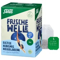 Salus Frische Welle Hibiskus Eistee bio (15Btl)