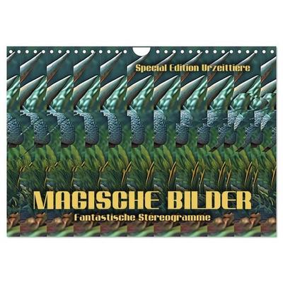 Magische Bilder - fantastische Stereogramme (Wandkalender 2027 DIN A4 quer), CALVENDO Monatskalender