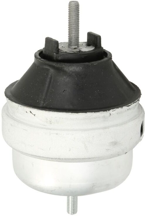 Reinhoch Supporto motore RH11-0124