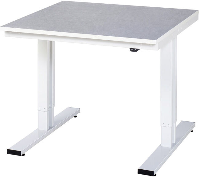 Établi adlatus RAU 300 réglable en hauteur électriquement Plateau linoléum/universel 1000 mm x 1000 mm (08-WT-100-100-L)