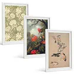 BILDER SET 3er Set - 40x60 cm Weißer Rahmen - Blumen, Vögel, Natur