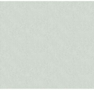 Rifle Paper Co.Champagne Dots Mineral Wallpaper