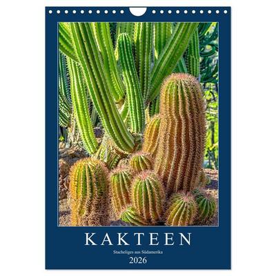 Kakteen - Stacheliges aus Südamerika (Wandkalender 2026 DIN A4 hoch), CALVENDO Monatskalender