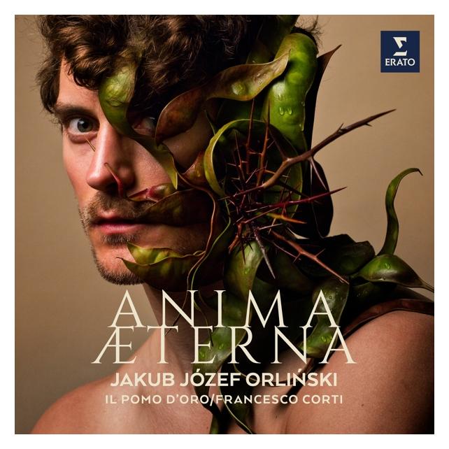 Erato Anima Aeterna (Bartolomeo Nucci (fl. 1717-1749)) (33062593)
