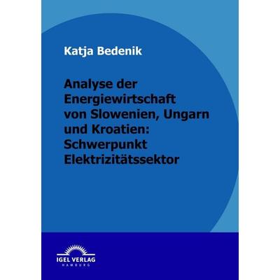 Analyse der Energiewirtschaft von Slowenien, Ungarn und Kroatien: Schwerpunkt Elektrizitätssektor, Taschenbuch von Katja Bedenik, Igel Verlag