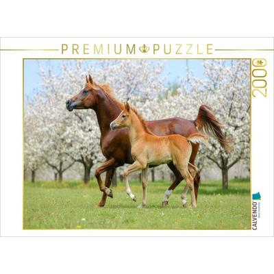 CALVENDO Puzzle Araberstute und Fohlen in synchronem Trab | 2000 Teile Lege-Größe 90x67cm Foto-Puzzle für glückliche Stunden