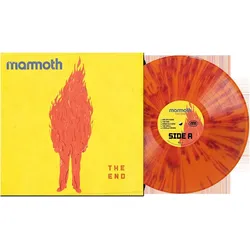 United Medical Partners, Schallplatten, The End (VINYL)