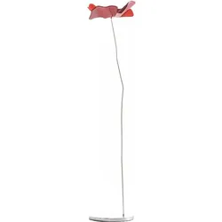 Papavero Delicato Dekoration S Blume rot