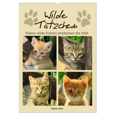 Wilde Tätzchen, kleine wilde Katzen entdecken die Welt (Wandkalender 2026 DIN A2 hoch), CALVENDO Monatskalender