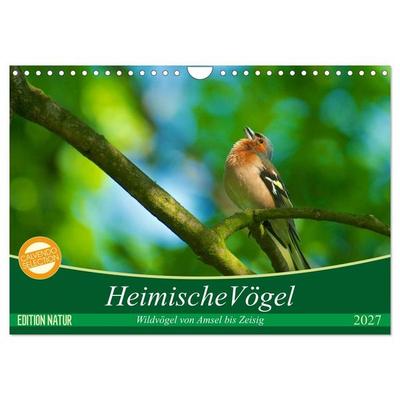 Heimische Vögel (Wandkalender 2027 DIN A4 quer), CALVENDO Monatskalender