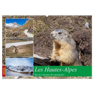 Les Hautes-Alpes sur les chemins des marmottes (Calendrier mural 2026 DIN A2 vertical), CALVENDO calendrier mensuel