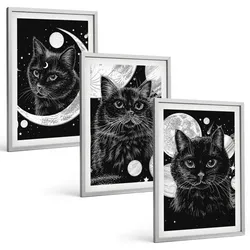 BILDER SET 3er Set - 40x60 cm Silberner Rahmen - Schwarze Katzen, Mond, Weltraum