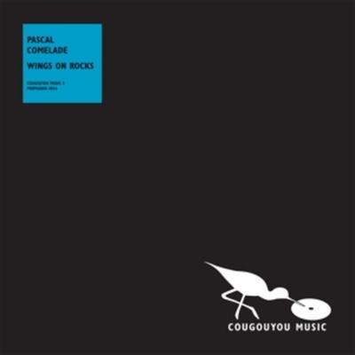 Wings On Rocks - Pascal Comelade, Vinyl