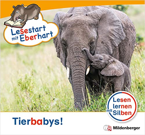 Stefanie Drecktrah - Lesestart mit Eberhart: Tierbabys!: Themenhefte für Erstleser, Lesestufe 1 (Lesestart mit Eberhart: Lesen lernen mit Silben - Themenhefte für Erstleser - 5 Lesestufen - je 10 Hefte) - Preis vom 11.10.2026 15:43:13 h
