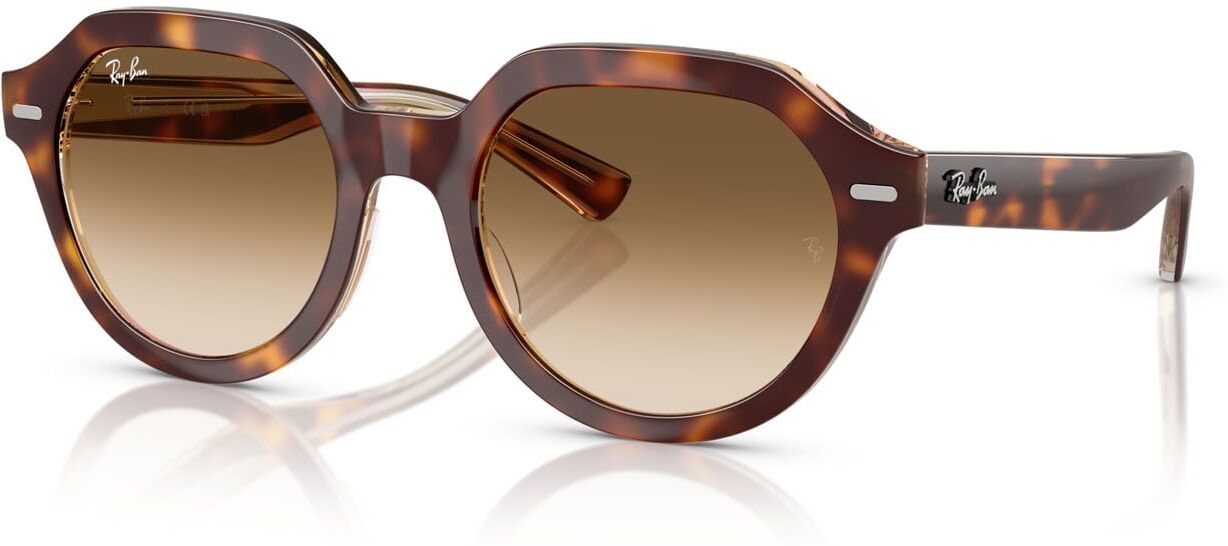 Sonnenbrille Ray-Ban Gina RB 4399 (141451) Damen