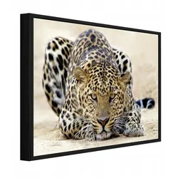 BILDER mit Rahmen Lampard Tiere Beige 60x40 cm