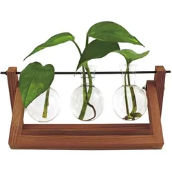 Winkee, Vase, Hydro Vases Blossom - Vase (3x)