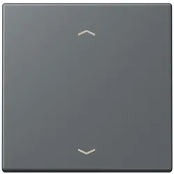 Jung Wippe 1fach m. Pfeilsymb. LC 990 P 202