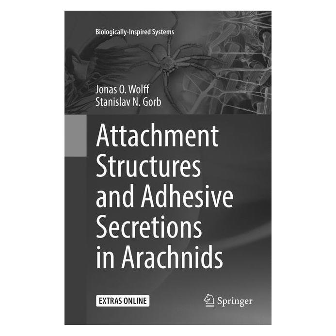 Springer Attachment Structures and Adhesive Secretions in Arachnids (Englisch, Softcover, Jonas O. Wolff, Stanislav N. Gorb) (55998414)