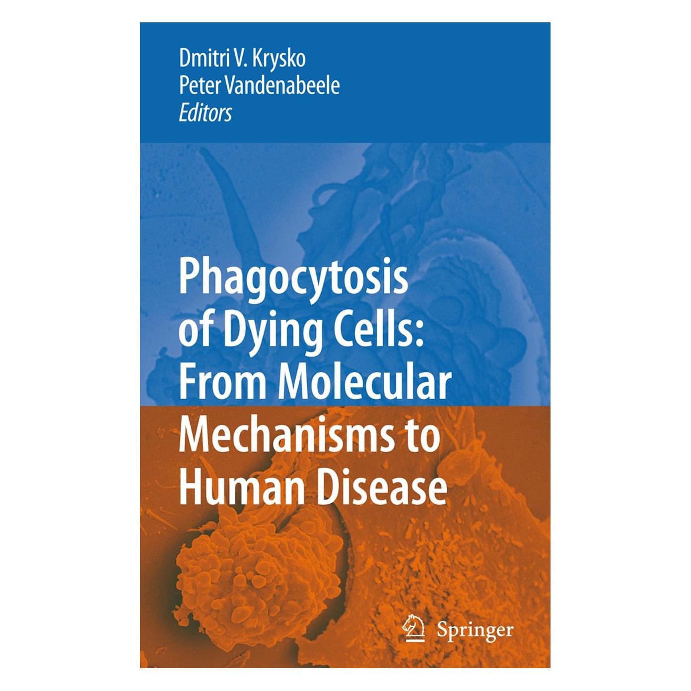 Springer Phagocytosis of Dying Cells (Englisch, Hardcover, Dmitri V. Krysko, Peter Vandenabeele) (9781402092923)