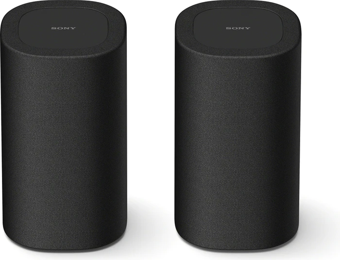Sony SA-RS8