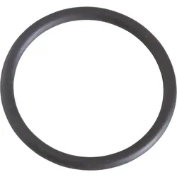O-Ring für Flansche passend zu Minisit 710 Ref. 0.925.034