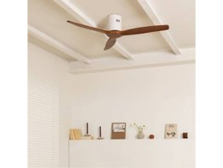 WIND CALM - Ventilateur de