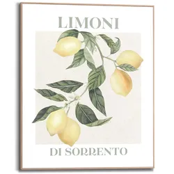 Bild LIMONI (BHT 40x50x1,60 cm) - bunt - BHT 40x50x1,60 cm
