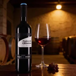 Bodegas Orvalaiz 2022 Orvalaiz Cabernet Sauvignon Roble 2022 Cabernet Sauvignon Spanien