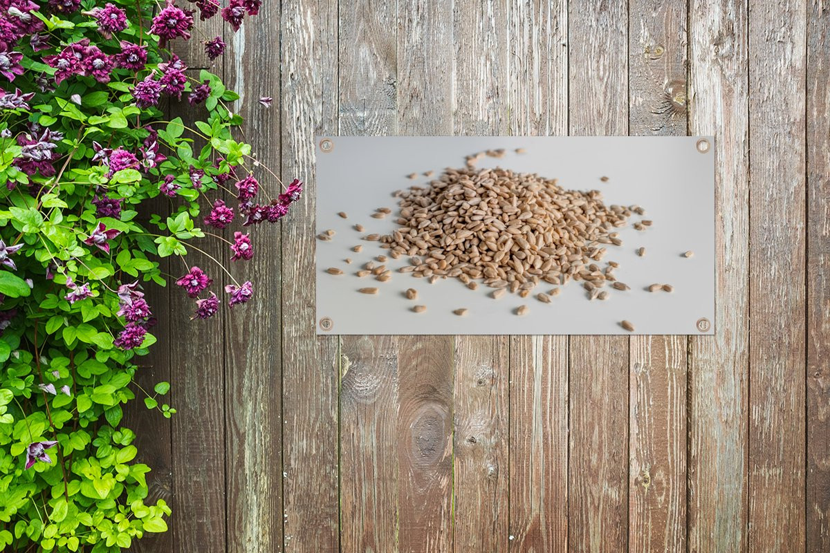 GreatGardenPosters Tuinposter Hoopje zonnebloempitten B: 60 cm, H: 30 cm