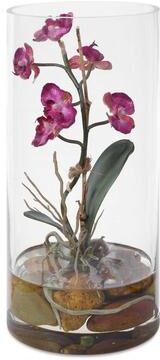 "Uttermost Mariposa Fuchsia Orchid - 4.75""D x 4.75""W x 10.25""H"