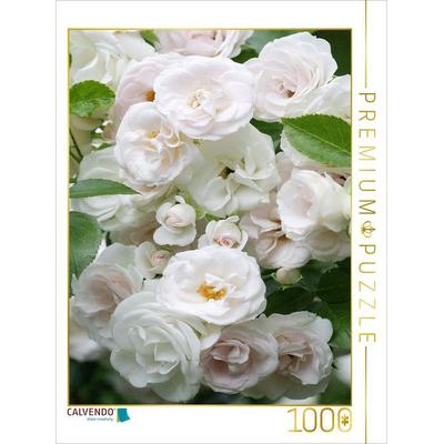 CALVENDO Puzzle Weiße Rosen | 1000 Teile Lege-Größe 64x48cm Foto-Puzzle für glückliche Stunden