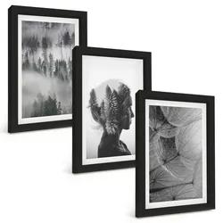 BILDER SET 3er Set - 20x30 cm Schwarzer Rahmen - Waldnebelporträt Baum Löwenzahn