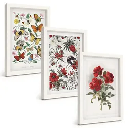 BILDER SET 3er Set - 20x30 cm Weißer Rahmen - Schmetterlinge, Blumen, rote Rosen