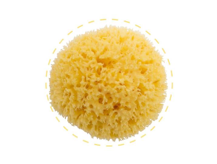 BELLINI BA-SA10 Honeycomb No. 10 Naturschwamm