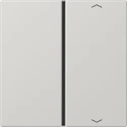 Jung Taste 1-fach lgr LS 401 TSAP LG LS401TSAPLG