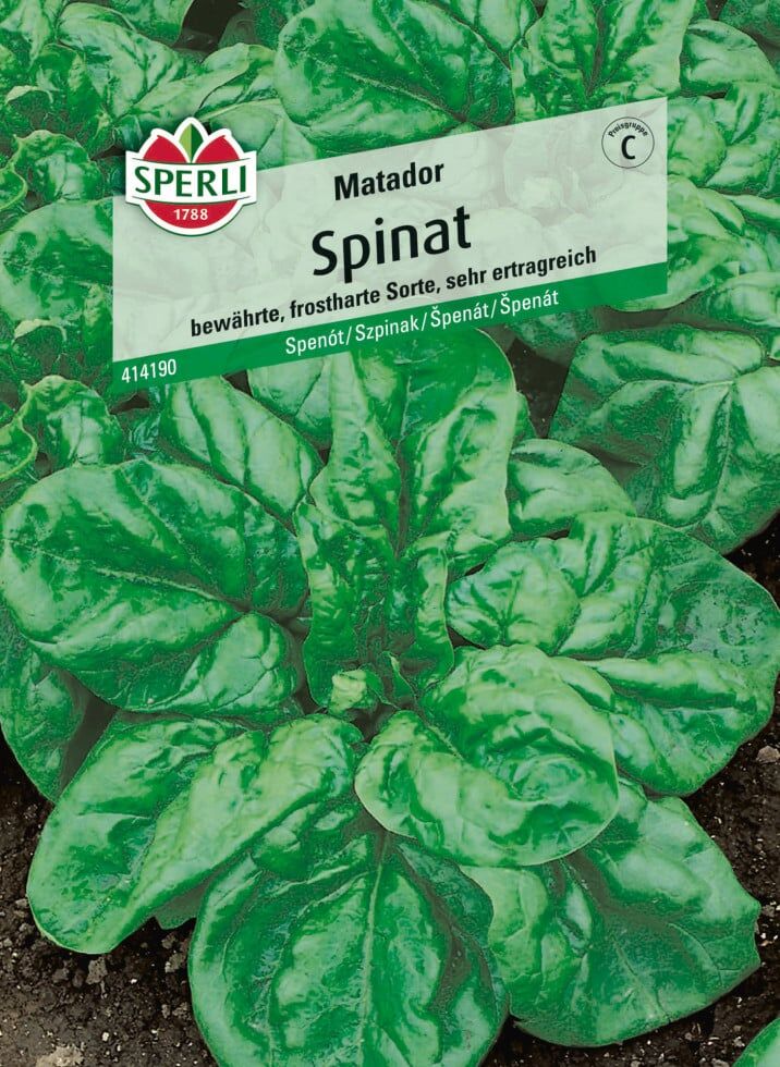 Sperli Saatgut Spinat Matador für ca. 2 – 3 m²