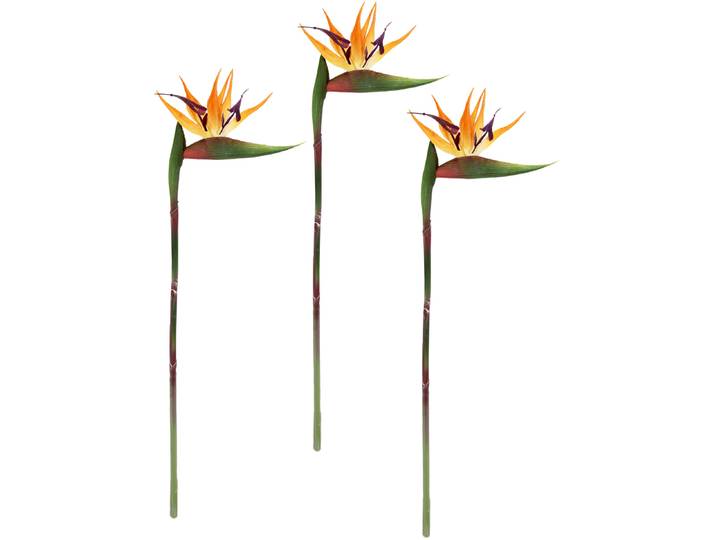 Kunstblume I.GE.A. Künstliche Blume Strelitzie Paradiesvogelblume Exotischer Dekozweig , orange, B:15cm H:60cm L:3cm, Polyester, Kunstpflanzen, Kunstblume, Zweig Einzelblume Dekoblume Stielblume Hochzeit Dekoration