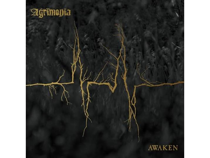 Awaken