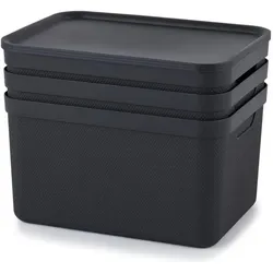 Rotho, Aufbewahrungsbox, Aufbewahrungsbox A4 Jive 3 Stück, Schwarz (16 l, 3x)