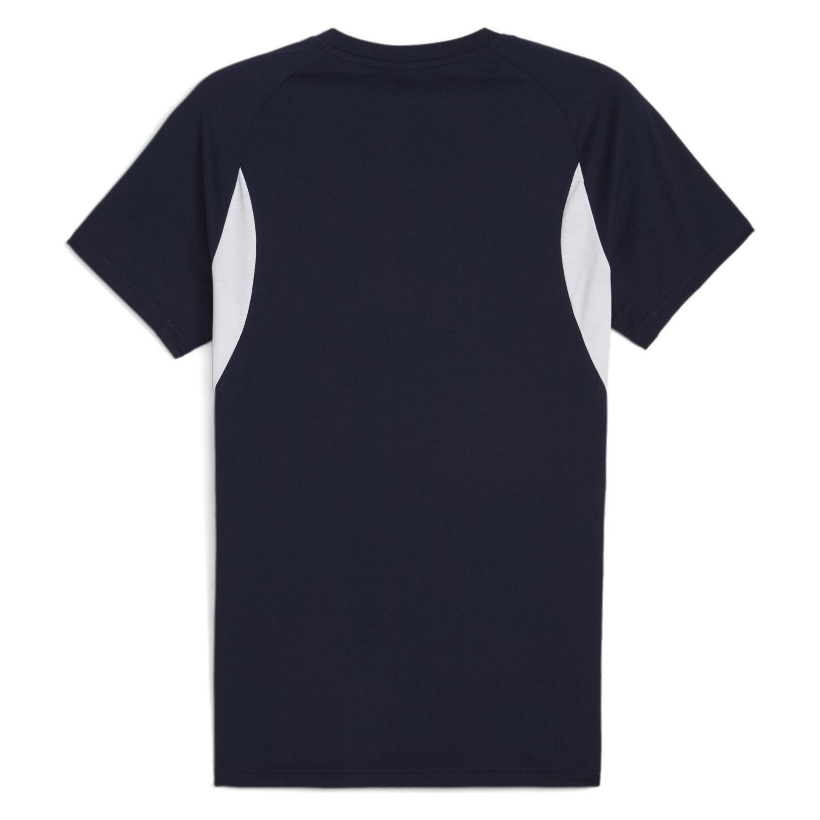 Puma teamEVOSTRIPE Tee (S) (659953)