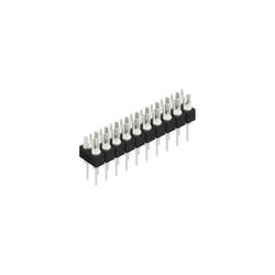Fischer Elektronik Stiftleiste (Präzision) Anzahl Reihen: 2 10041219 10 St.