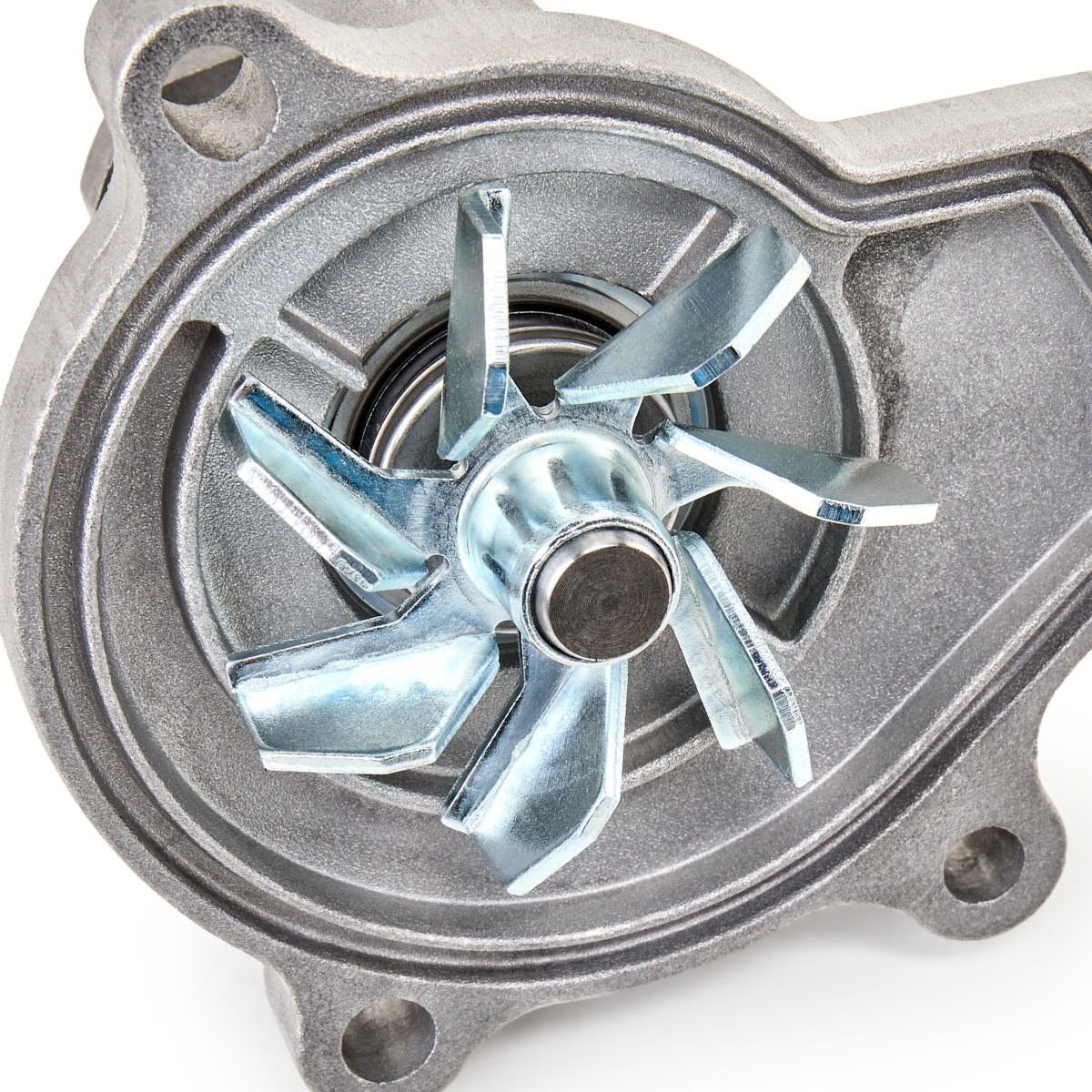 DAYCO DP310 Water pump