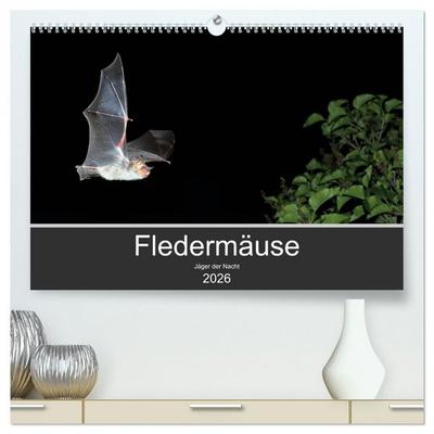 Fledermäuse - Jäger der Nacht (hochwertiger Premium Wandkalender 2026 DIN A2 quer), Kunstdruck in Hochglanz