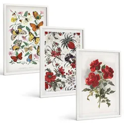 BILDER SET 3er Set - 40x60 cm Weißer Rahmen - Schmetterlinge, Blumen, rote Rosen