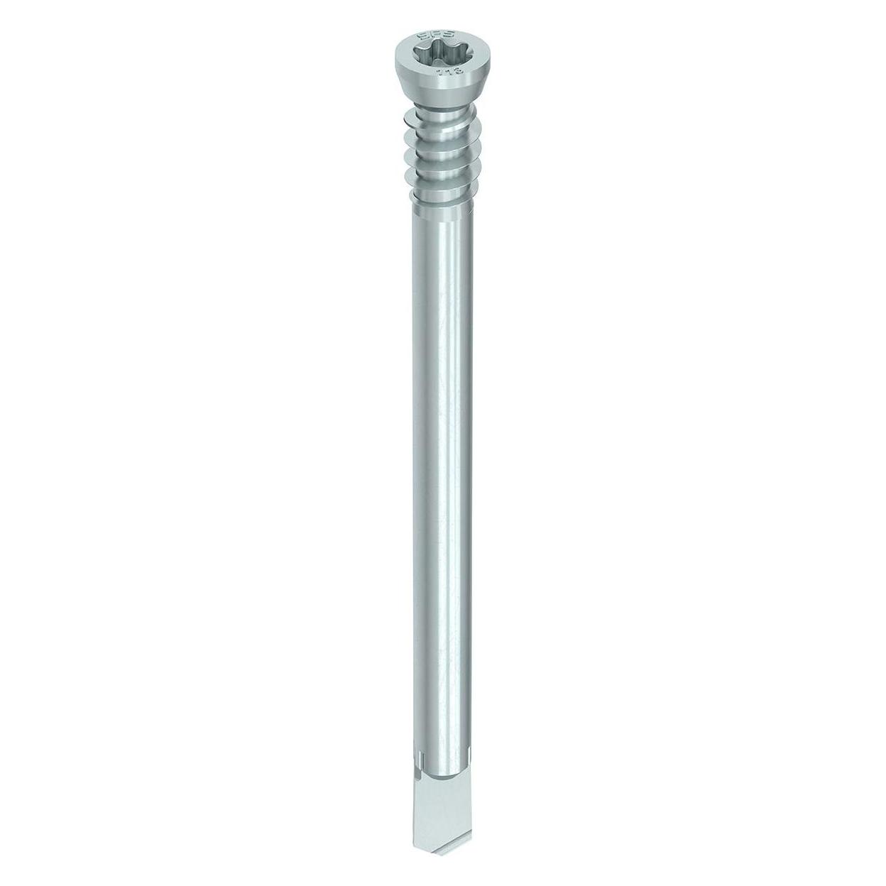 Heco Stabdübel WS-T (100 Stk.) (119949)