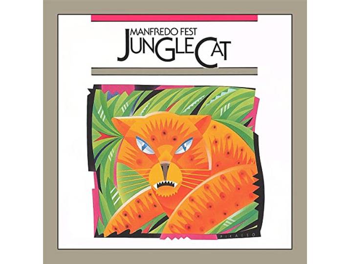 Jungle Cat