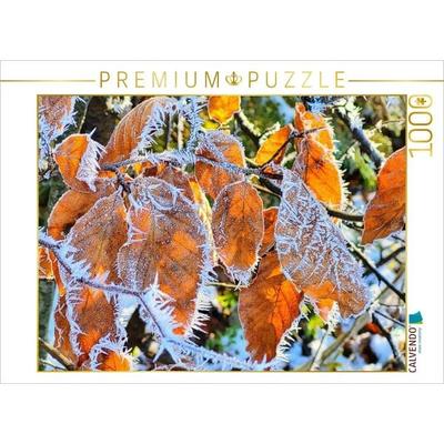 CALVENDO Puzzle Frostblätter - Schönheit im Stillstand | 1000 Teile Lege-Größe 64x48cm Foto-Puzzle für glückliche Stunden