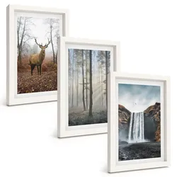 BILDER SET 3er Set - 20x30 cm Weißer Rahmen - Waldlandschaften, wilde Natur