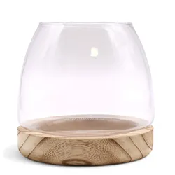 Medium Terarium on Natural Tung Wood - 15x15cm